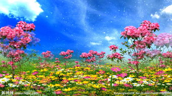 花開(kāi),詩(shī)句,旺盛