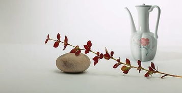 關(guān)于長(zhǎng)白酒的詩(shī)句