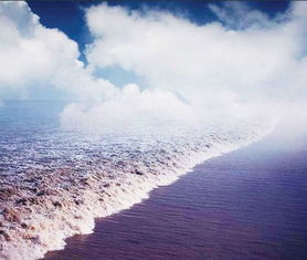 關(guān)于觀潮描寫(xiě)的詩(shī)句