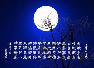 關(guān)于寄托月亮思念親人的詩(shī)句