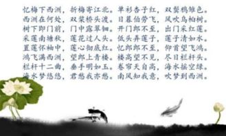 古詩(shī)詞,詩(shī)句,贊美