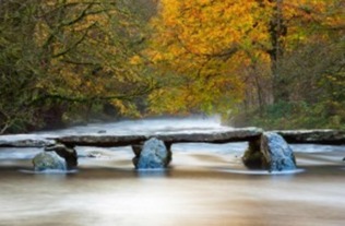 關(guān)于秋天的詩(shī)句古詩(shī)小學(xué)