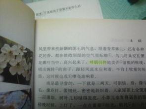 關(guān)于春的詩(shī)句和四字詞語(yǔ)