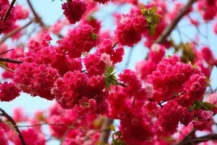 關(guān)于圓通山的詩(shī)句