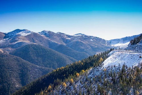 關(guān)于雅江的詩句