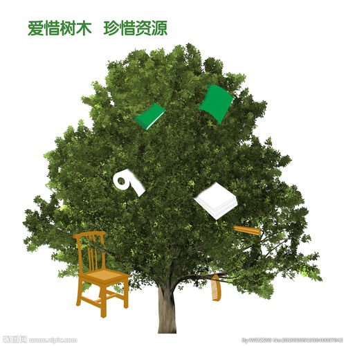 關(guān)于珍惜樹木的詩句