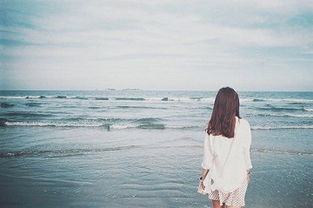 關(guān)于情感過客的詩句