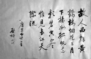 關于春天詩句及意思