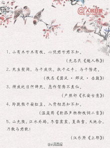 發(fā)現(xiàn)美的眼睛古詩句