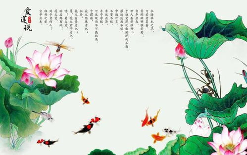 有關(guān)魚(yú)的詩(shī)句古詩(shī)