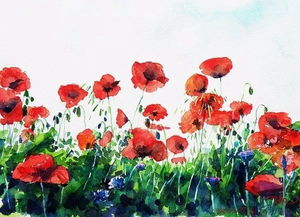 關(guān)于柳岸花名的詩(shī)句