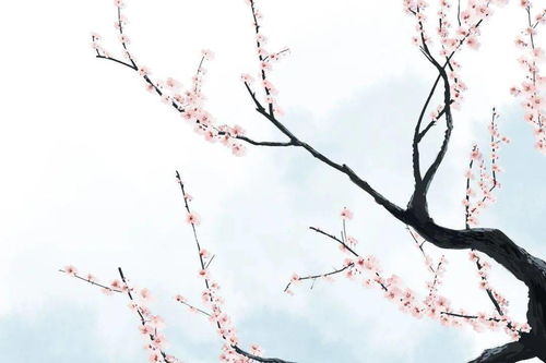 雪杏花的詩句古詩