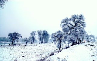 描寫(xiě)雪景的古詩(shī)句有哪些,關(guān)于描寫(xiě)雪景的古詩(shī)句,描寫(xiě)冬天雪景的古詩(shī)句