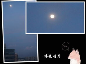 關(guān)于中秋觀月的詩(shī)句