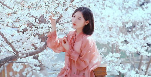 關(guān)于婧詩句和意思