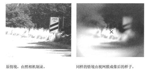 關(guān)于在背后默默付出的詩句