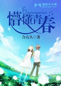 關(guān)于懵懂青春的詩句