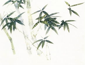 關于竹子方面的詩句