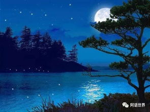 詩(shī)句,湖水,魚(yú)兒,描寫(xiě)