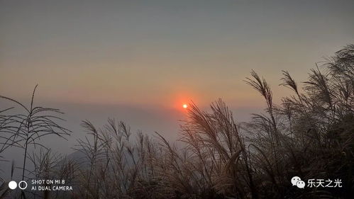 愛(ài)情和婚姻古詩(shī)句