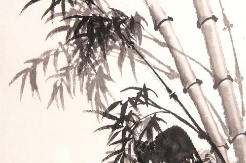 描寫(xiě)竹子詩(shī)句古詩(shī)句子