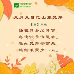 秋韻的古詩(shī)句