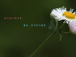 關于保護小花的詩句