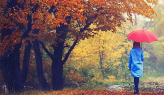 關于秋天蝴蝶的詩句