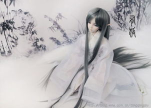 狐貍的古詩關(guān)于狐的詩句