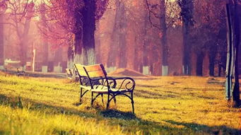 初秋,古詩,詩句,描寫