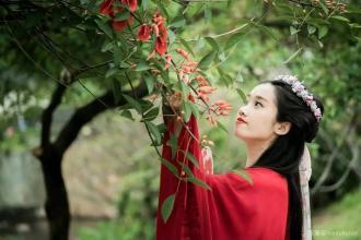 含有個(gè)個(gè)的詩(shī)句古詩(shī)詞