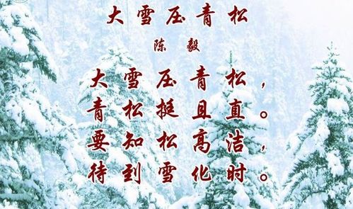 關于青松的詩句古詩詞