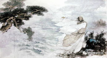 關(guān)于菊花的詩(shī)句屈原