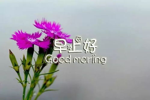 早晨發(fā)說說古詩句