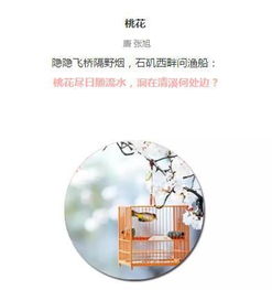 兒童桃花的詩(shī)句古詩(shī)詞