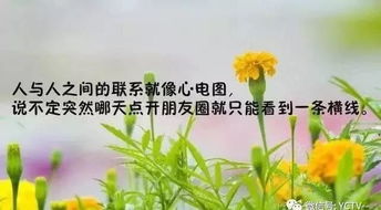 詩(shī)句,羨慕,努力