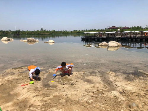 與看湖有關(guān)的古詩句