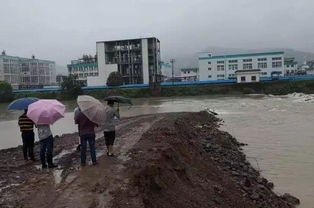 寫臺風的古詩句