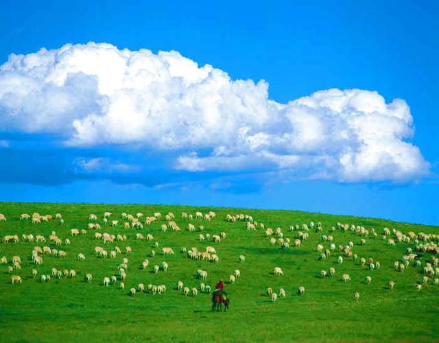 關(guān)于草原的詩句歌曲有哪些