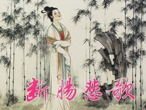 朱淑真寫(xiě)的關(guān)于春節(jié)的詩(shī)句