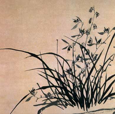 關(guān)于蘭花詩(shī)句古詩(shī)詞,關(guān)于贊美蘭花的詩(shī)句古詩(shī),小學(xué)關(guān)于蘭花的詩(shī)句古詩(shī)