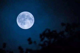 月亮的詩句古詩,月亮愛情的詩句古詩,形容月亮的詩句和古詩