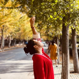 關(guān)于金秋的詩句長一點