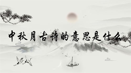 中秋月古詩抒情的詩句是