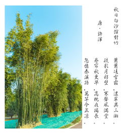 關(guān)于離開故鄉(xiāng)去新地方的詩(shī)句