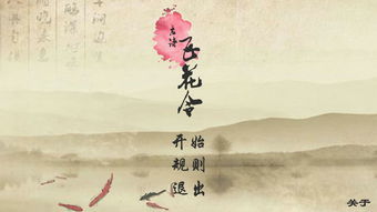 飛花漫空古詩(shī)句