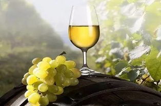 唐代,詩句,葡萄酒