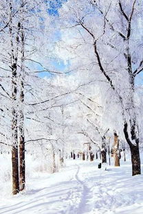 富有詩意的詩句唯美,富有詩意的征婚詩句,富有詩意的愛情詩句