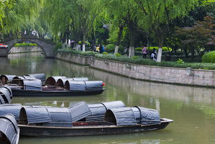 關于江南春色的詩句古詩