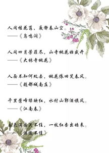 詩(shī)句,春天,大全,文章